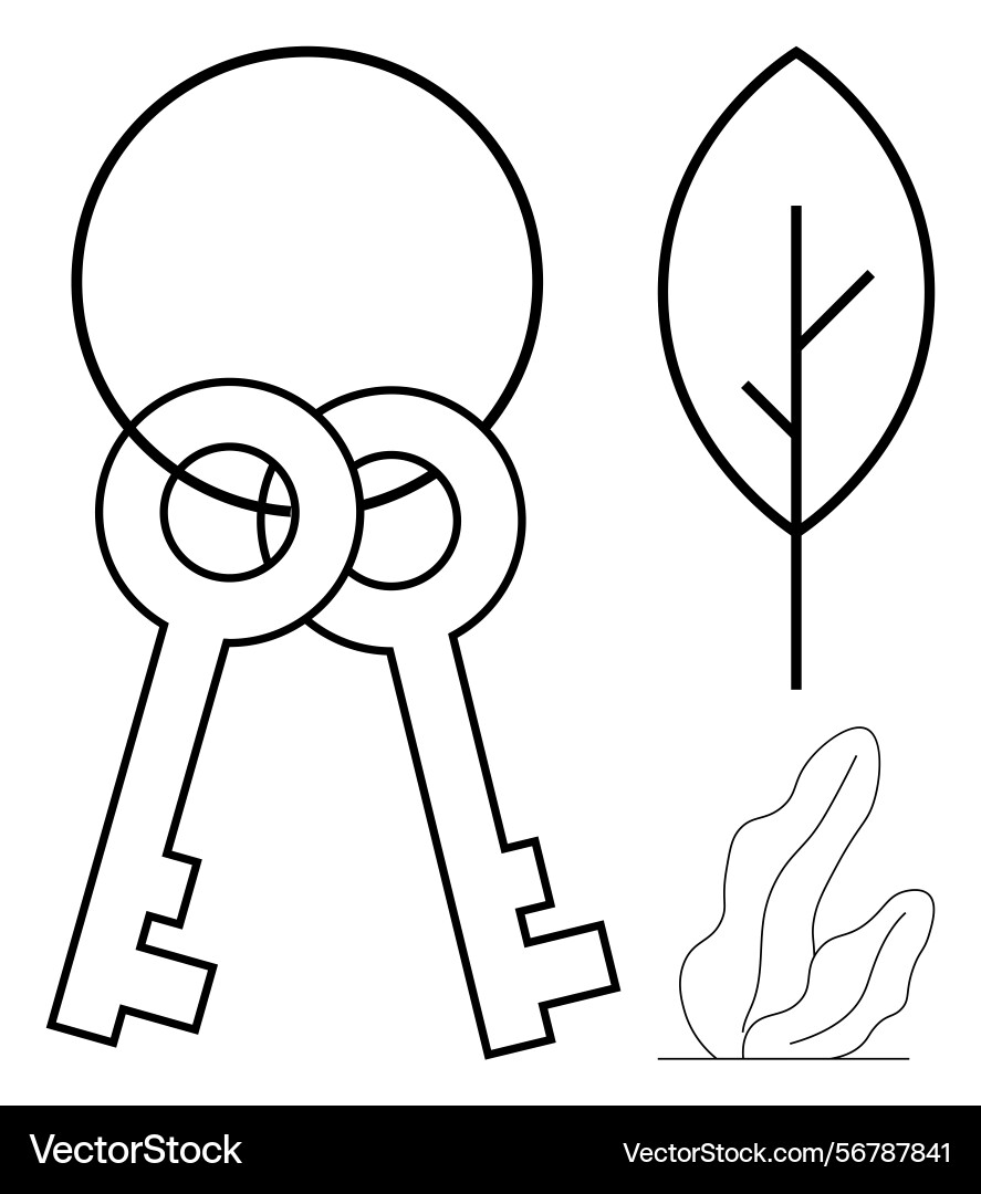 Minimalist outline design with keys leaf Minimalist outline design with keys leaf vector image