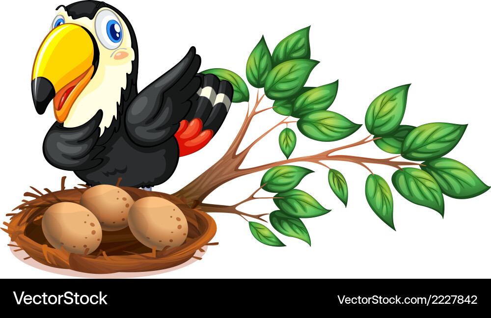 A nest at the branch of tree with bird vector image