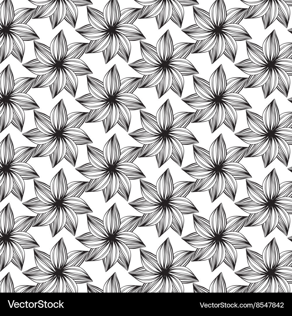 Line flower pattern on transparent background Vector Image