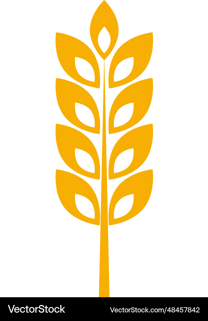 Organic wheat icon yellow crop ear symbol vector image