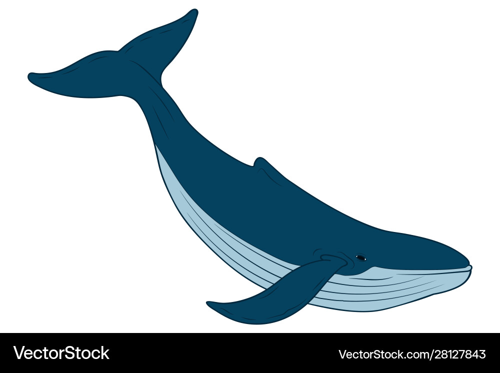 Whale in cartoon style Whale in cartoon style vector image