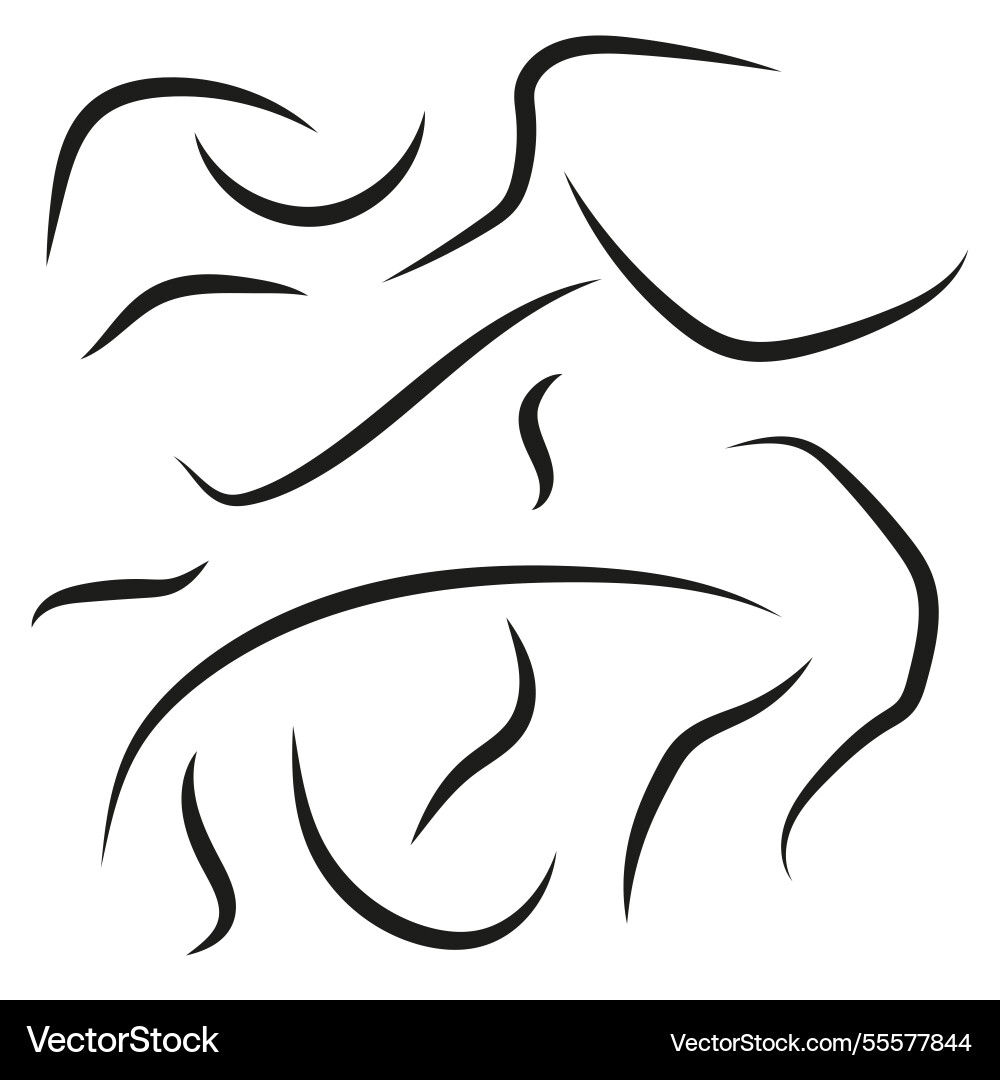 Abstract curved strokes dynamic flowing shapes Abstract curved strokes dynamic flowing shapes vector image