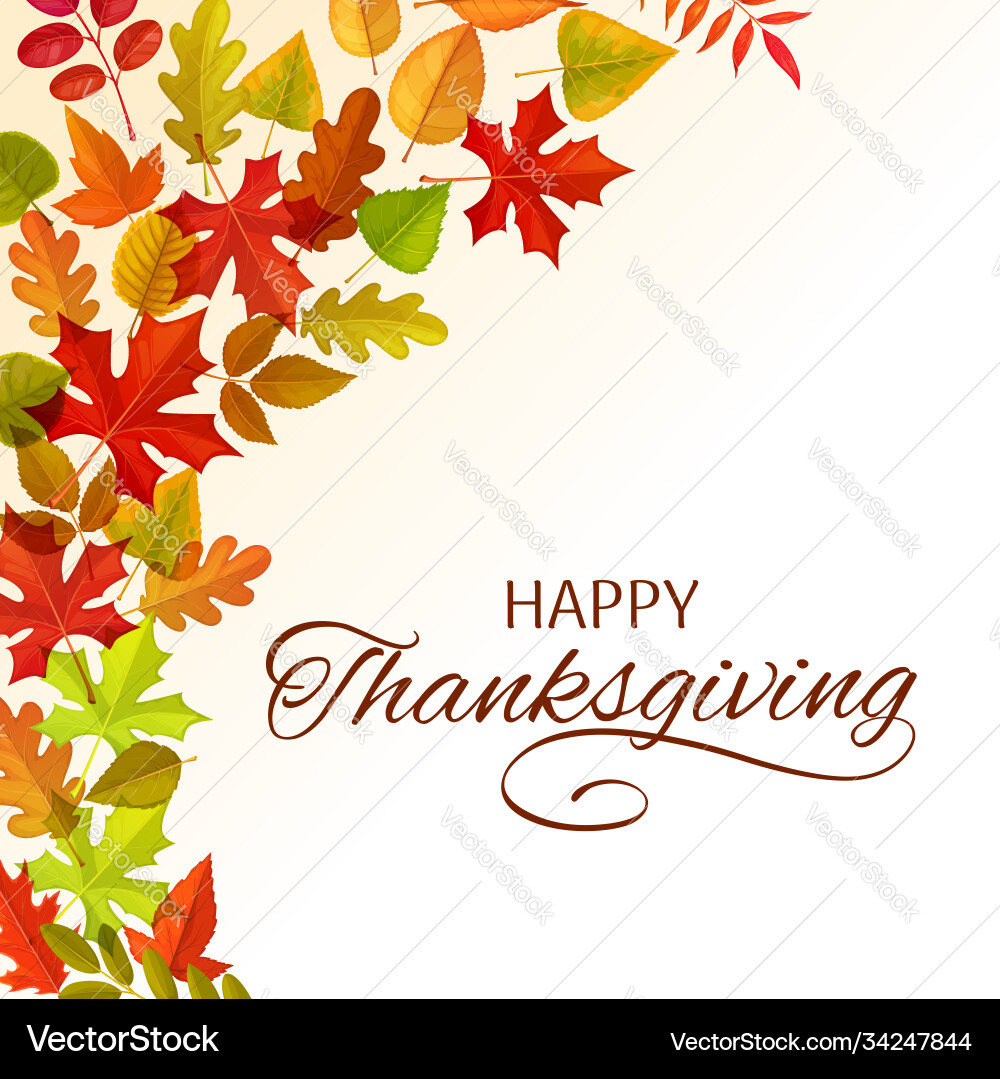 Thanksgiving day greeting card with leaves Thanksgiving day greeting card with leaves vector image