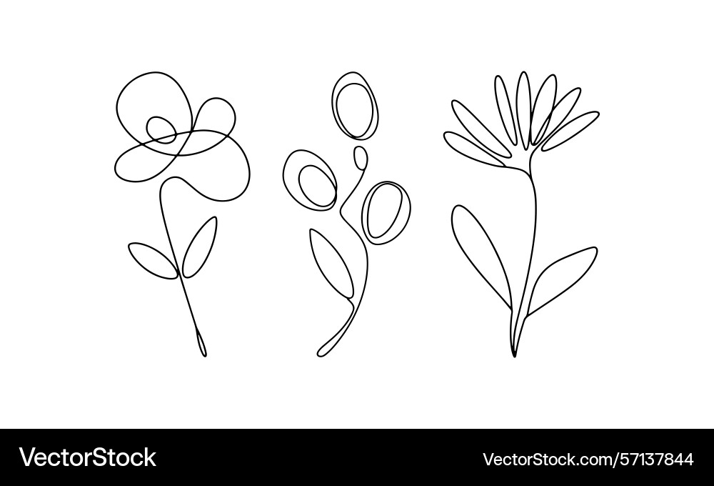 Tiny line flowers set a delicate group of three Vector Image