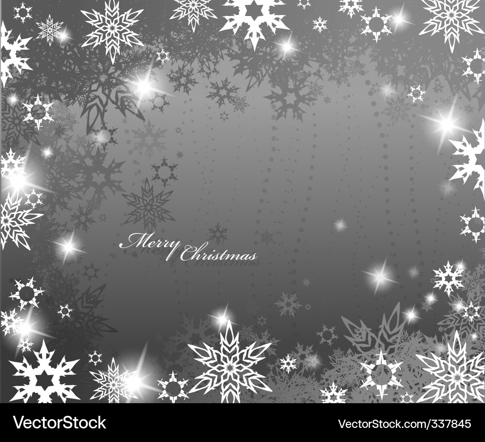 Winter Snowflake Border Vector Image
