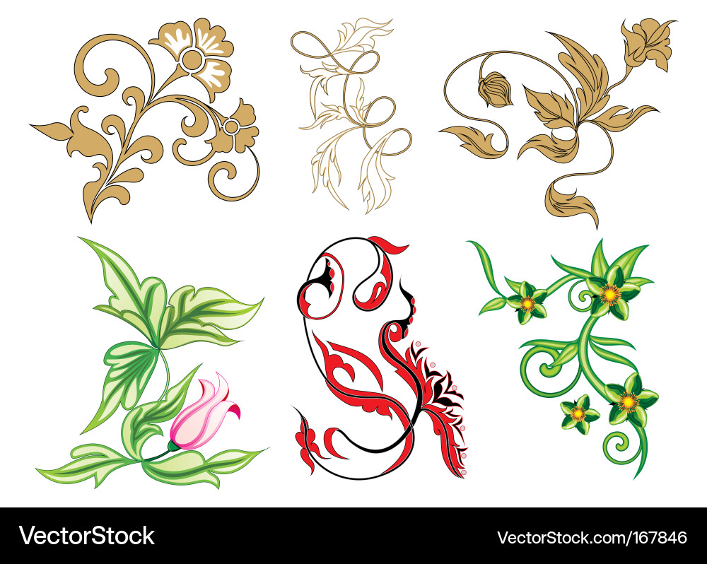 Flower collection Royalty Free Vector Image - VectorStock