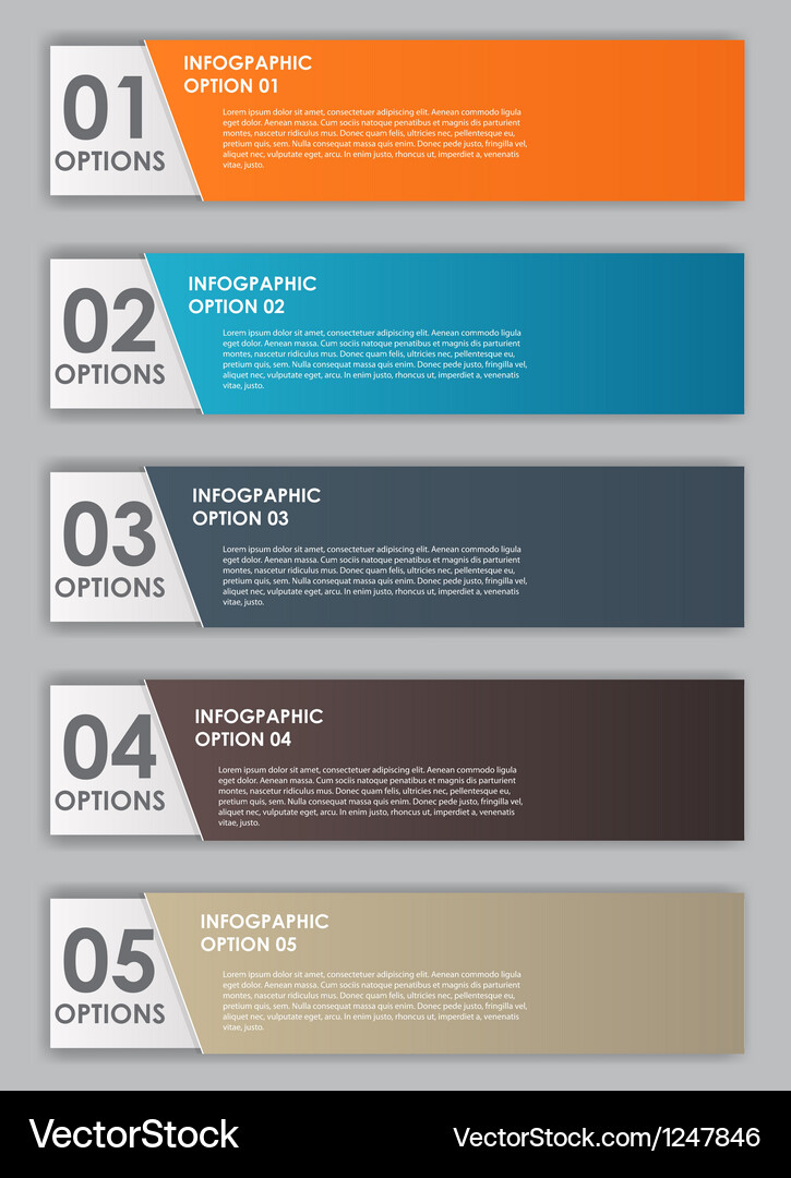 Modern Data Charts & Graphs Vector Image