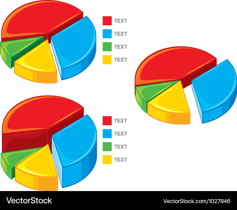 Pie Chart Data Visualization vector image