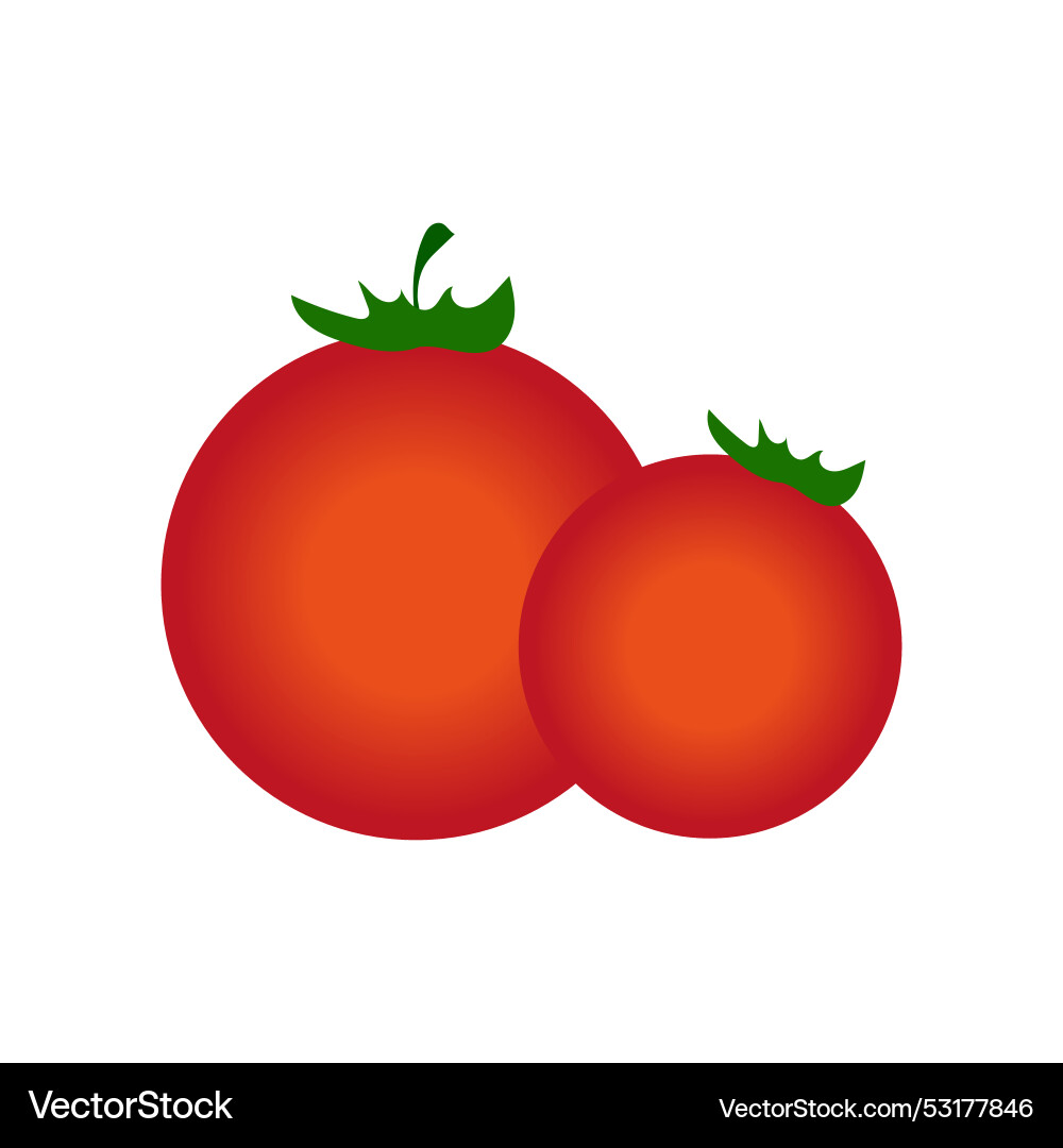Print Vector Image