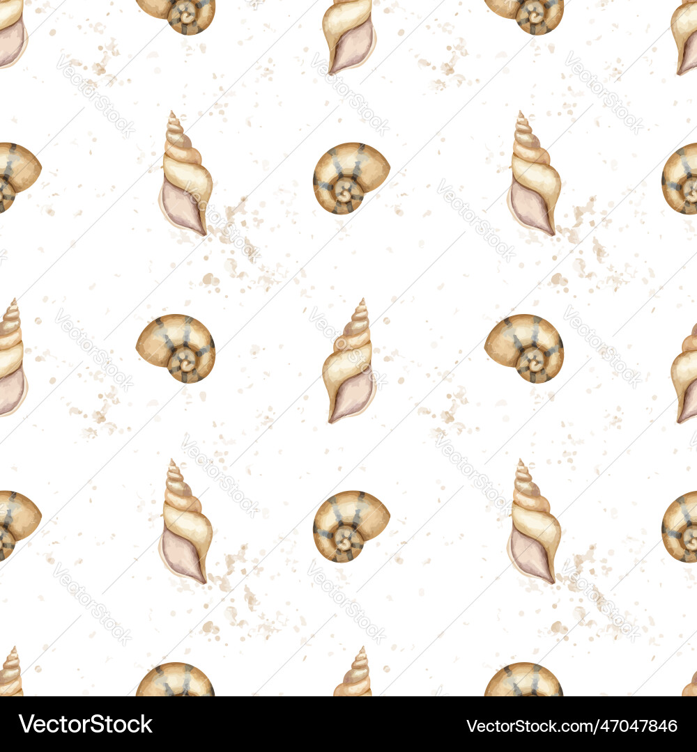 Seashells seamless pattern on isolated background Seashells seamless pattern on isolated background Vector Image