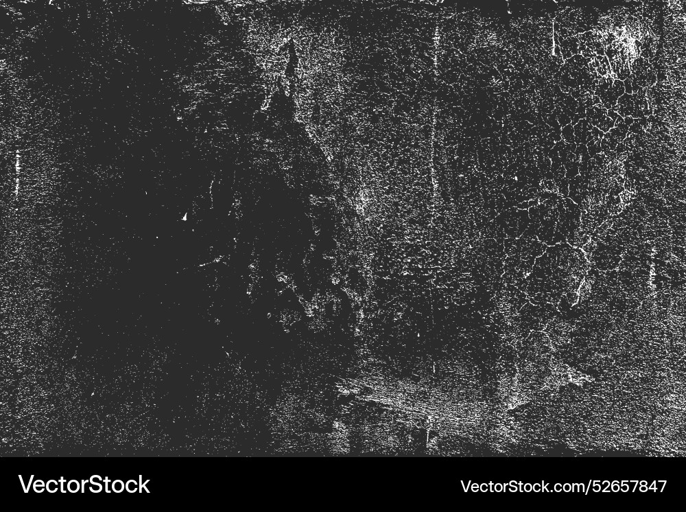 Paper texture Royalty Free Vector Image - VectorStock