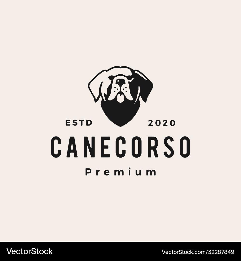 Cane corso dog hipster vintage logo icon Cane corso dog hipster vintage logo icon vector image