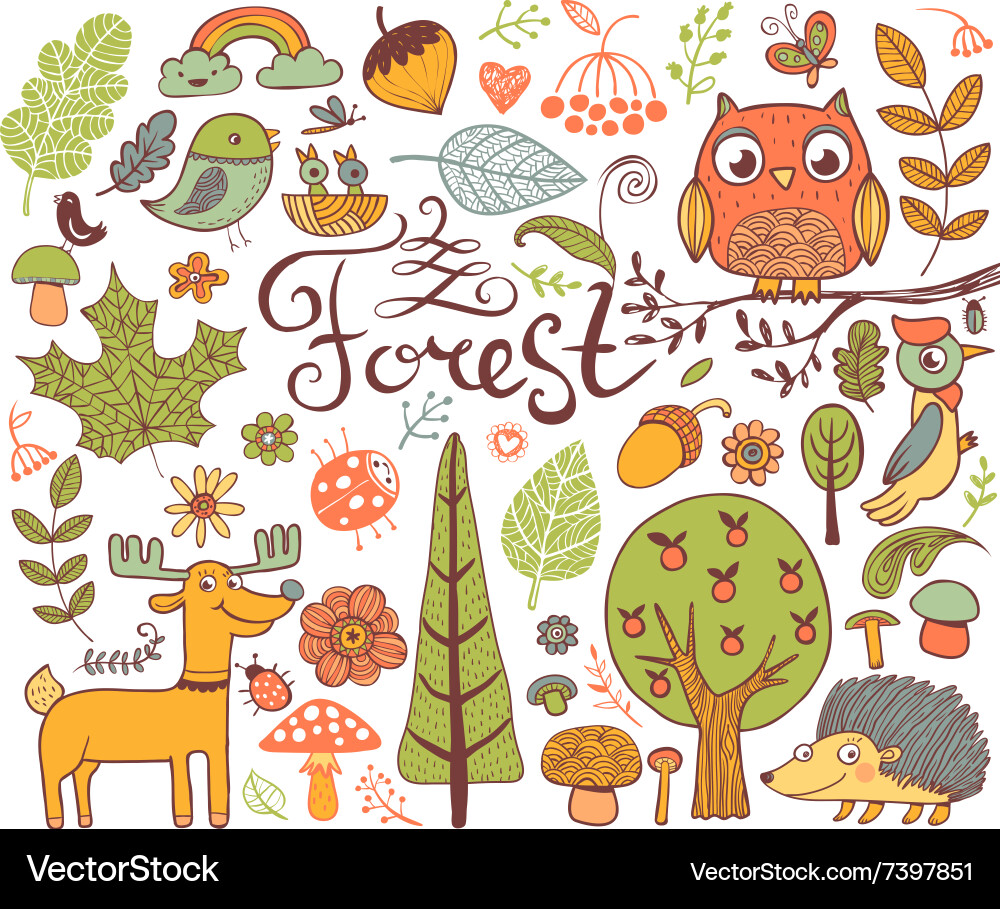 Forest design elements in doodle style vector image