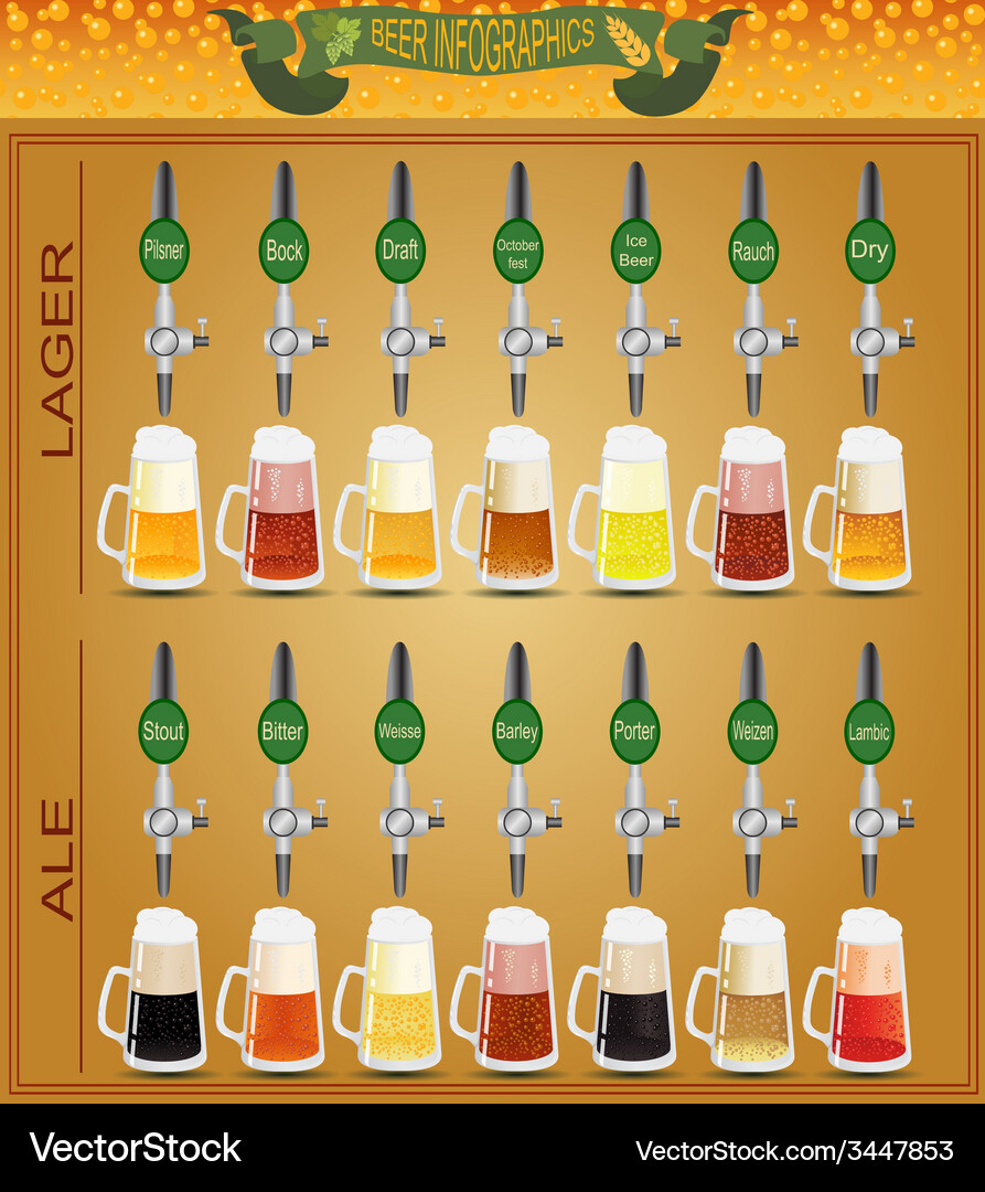 Beer menu set creating your own infographics Vector Image
