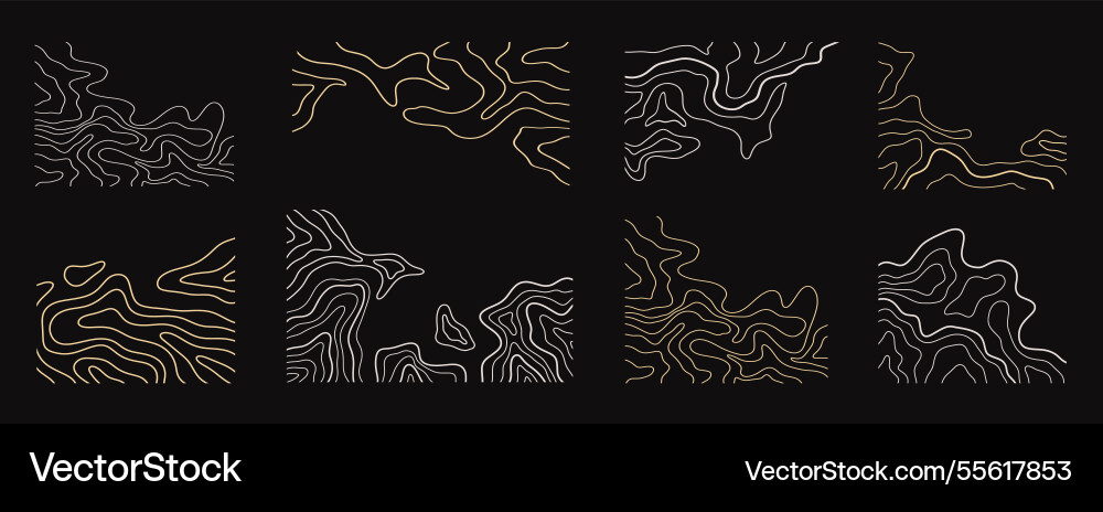 Topography map shapes abstract wavy lines set Topography map shapes abstract wavy lines set vector image