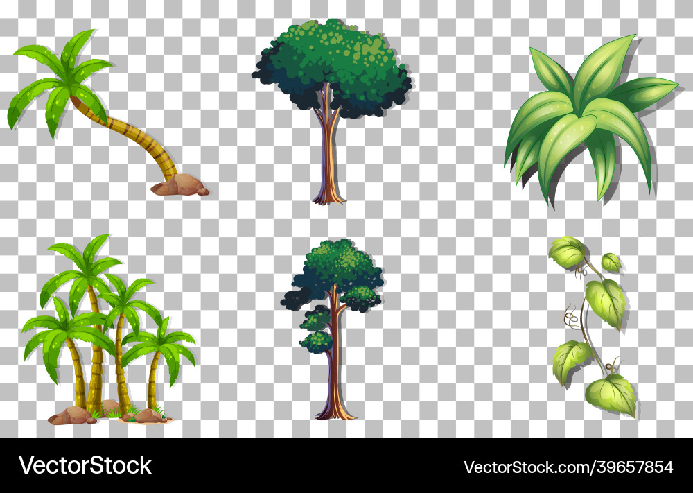 Set of variety trees on transparent background Set of variety trees on transparent background vector image