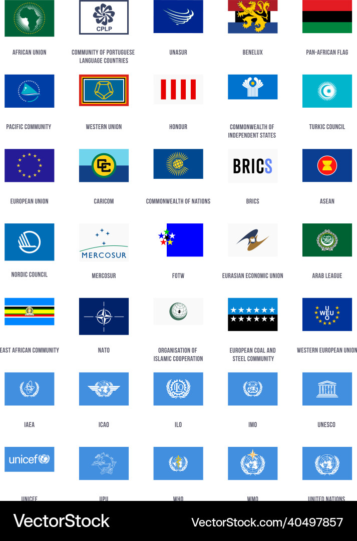 Organizations flags Organizations flags vector image