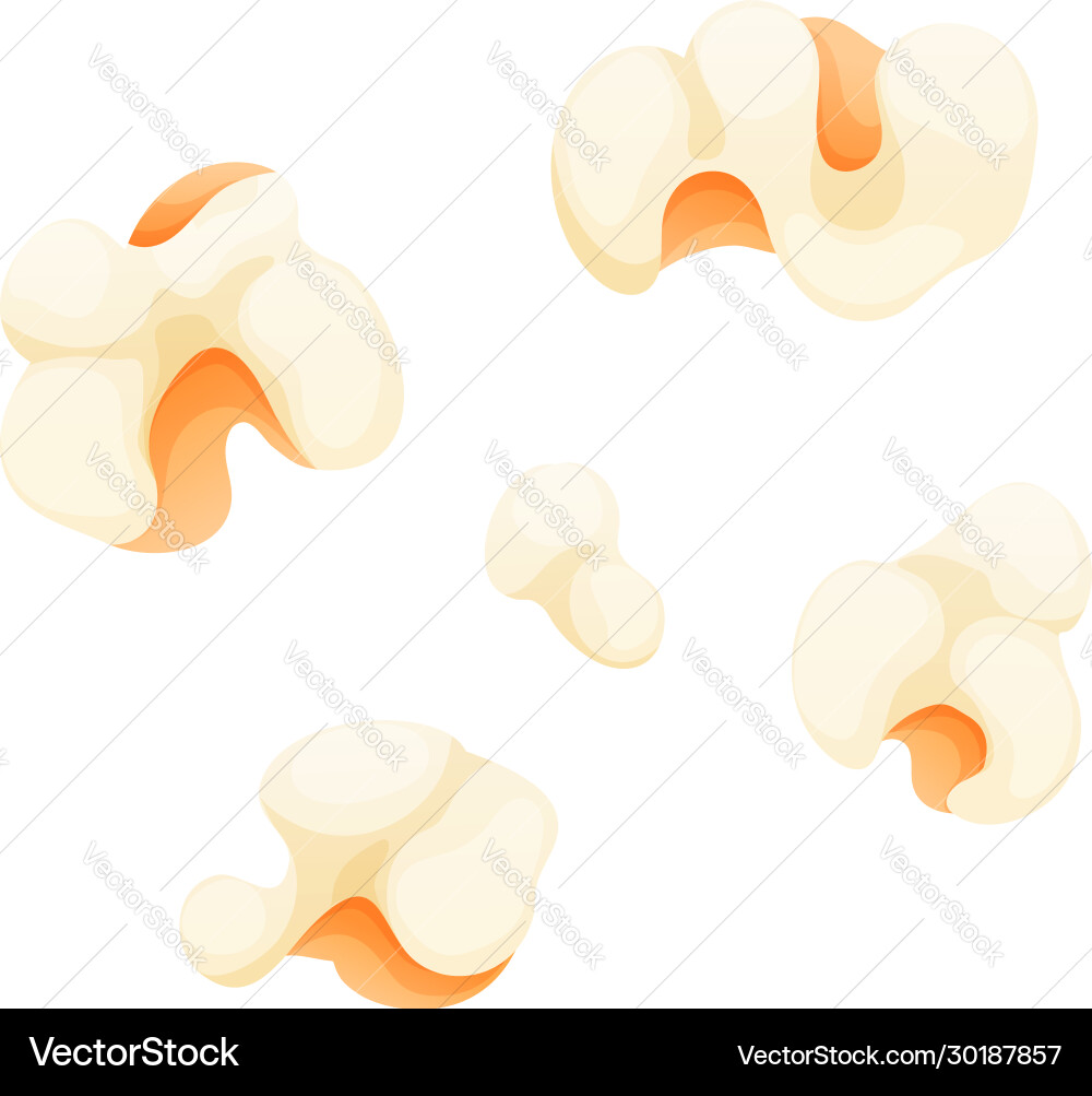 Set popcorn in cartoon style objects Set popcorn in cartoon style objects vector image