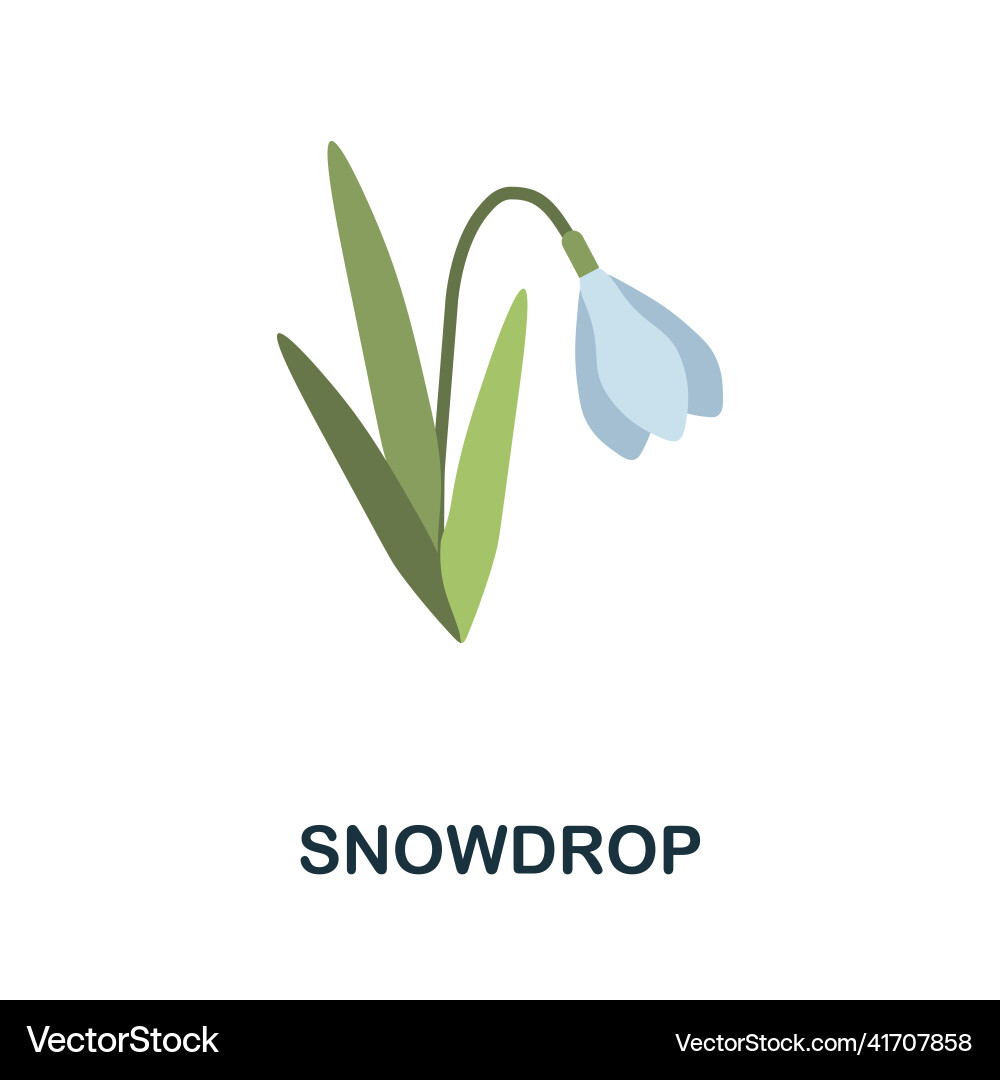 Snowdrop flat icon colored element sign from Snowdrop flat icon colored element sign from vector image