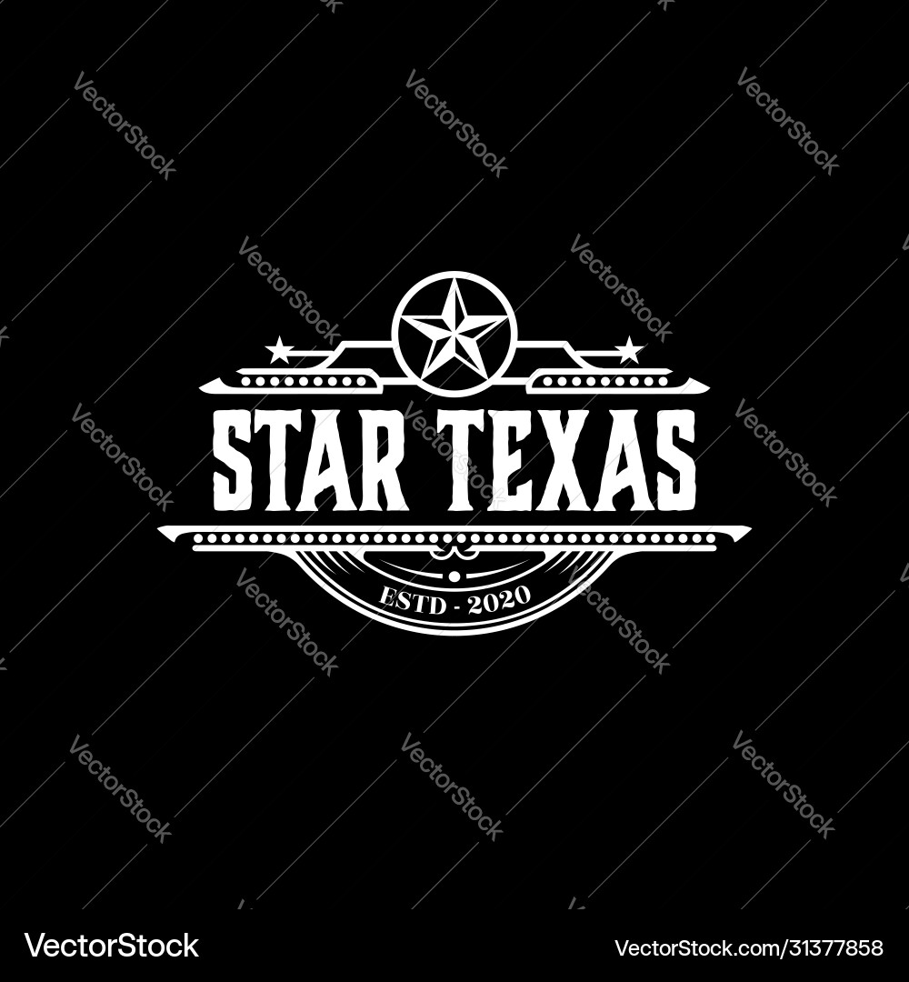 Texas Star Western Logo vector image