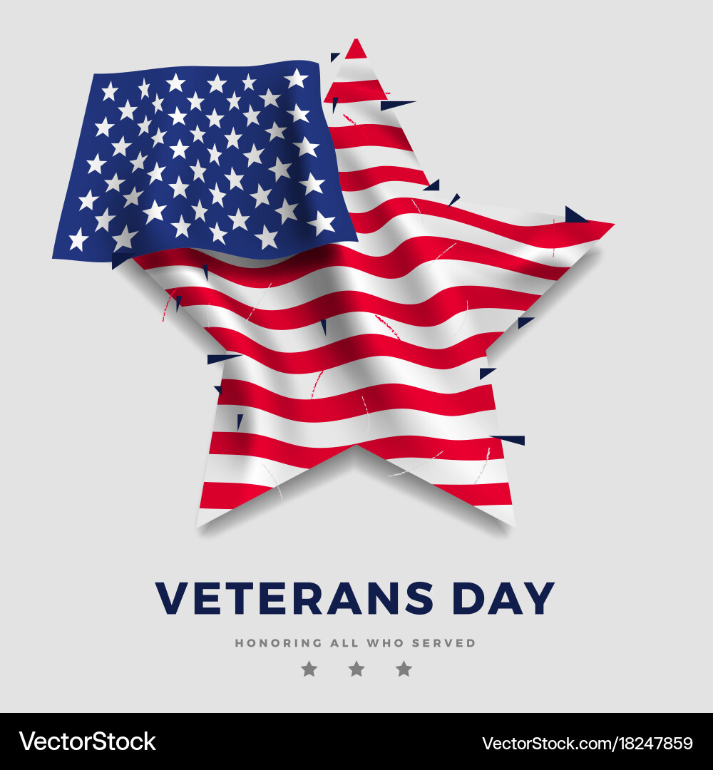 Veterans Day Flag Poster vector image