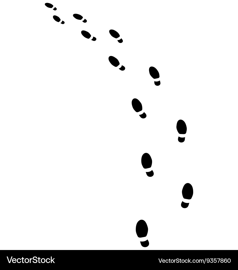 Trail of shoes vector image
