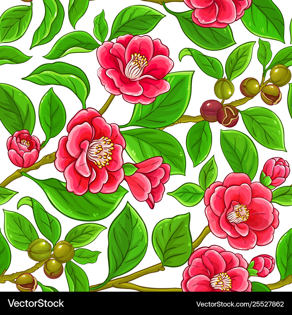 Camellia Branch Pattern vector image