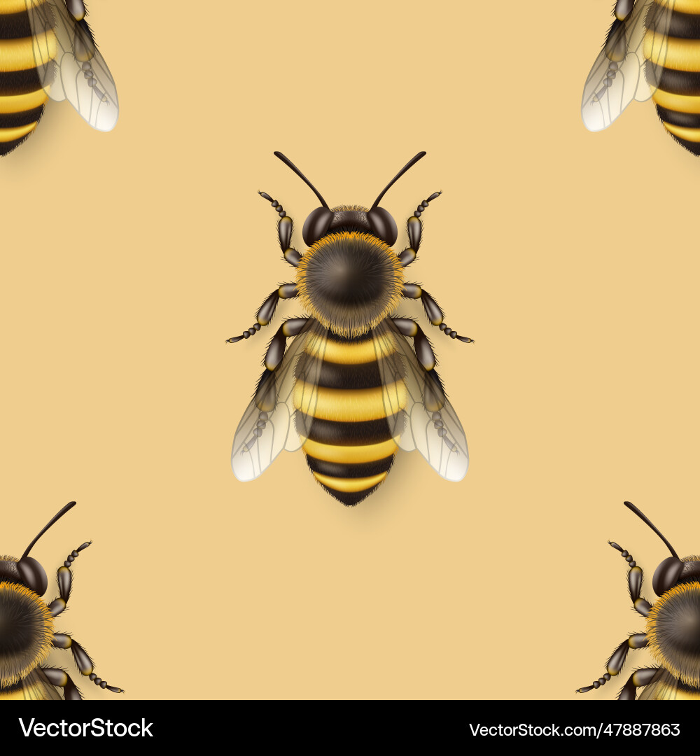 Seamless pattern with 3d realistic detailed vector image