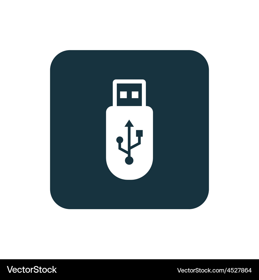 Usb icon rounded squares button Vector Image