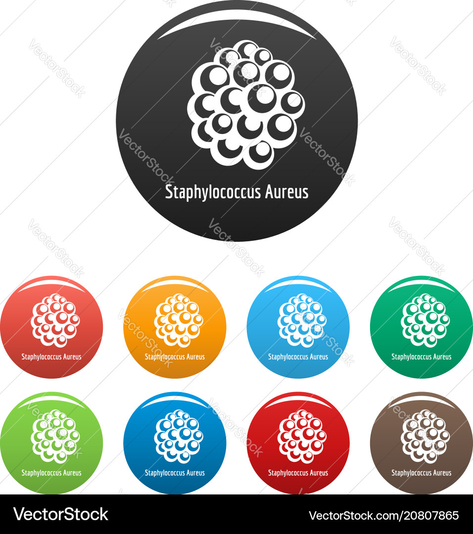 Staphylococcus aureus icons set color Vector Image