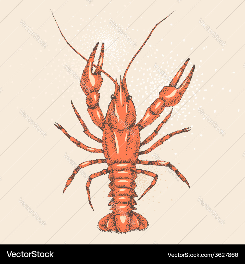 Rak Royalty Free Vector Image - VectorStock