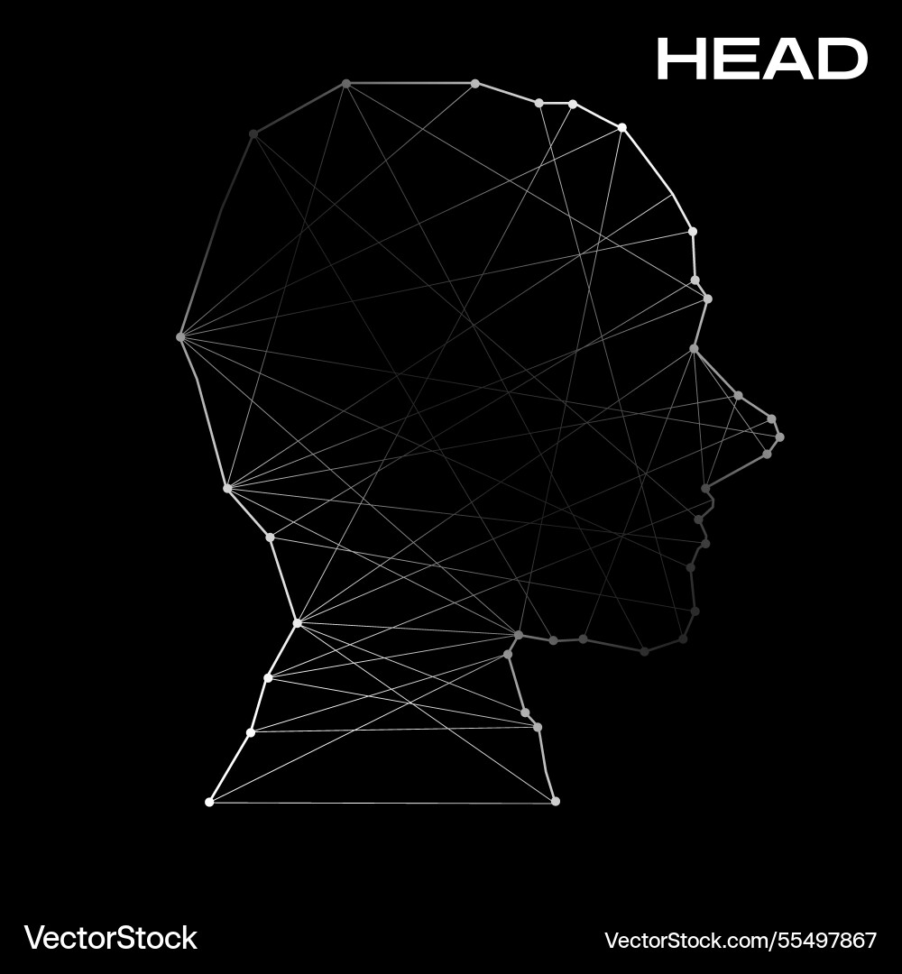 Polygonal abstract head with connected lines Polygonal abstract head with connected lines vector image