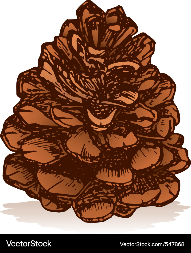 Pinecone Sketch Vector Image