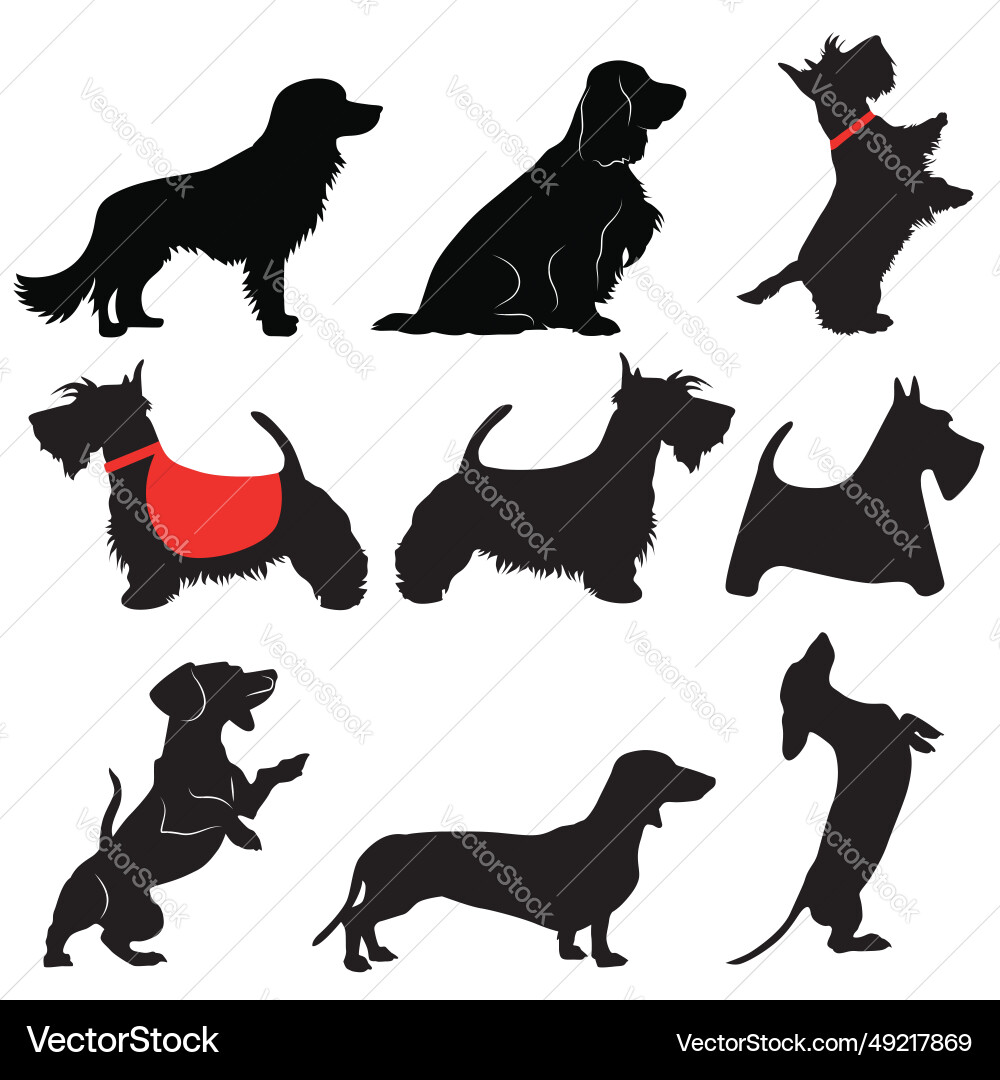 Cute Dog Silhouettes Collection Vector Image