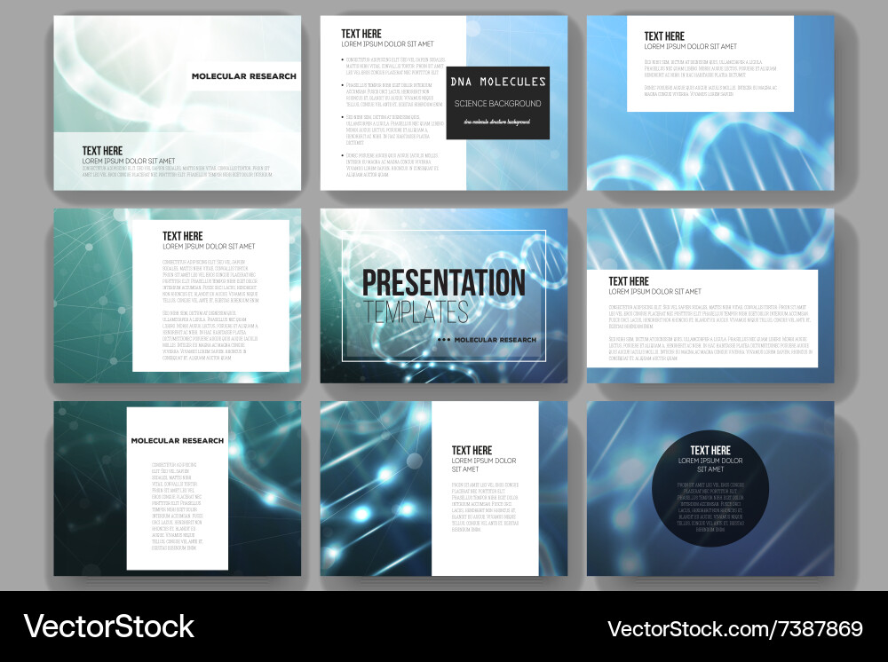 Set of 9 templates for presentation slides Vector Image