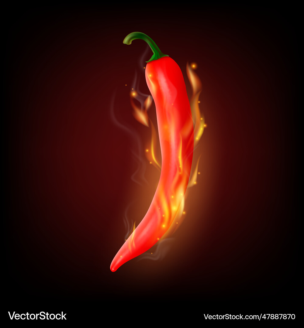 3d realistic red hot chili pepper closeup 3d realistic red hot chili pepper closeup vector image