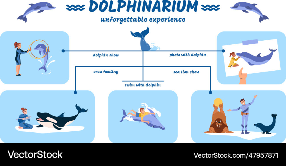 Dolphinarium flat infographic Dolphinarium flat infographic vector image