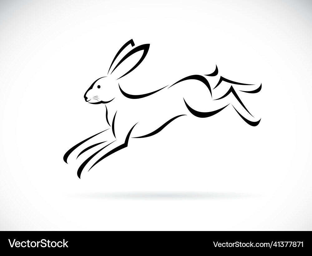 Running Rabbit on White Background vector image