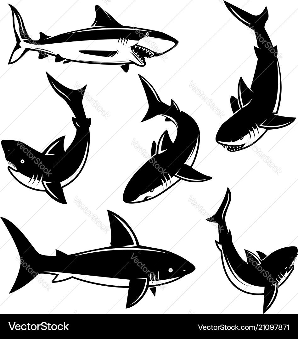 Set of shark design element for poster print Set of shark design element for poster print vector image