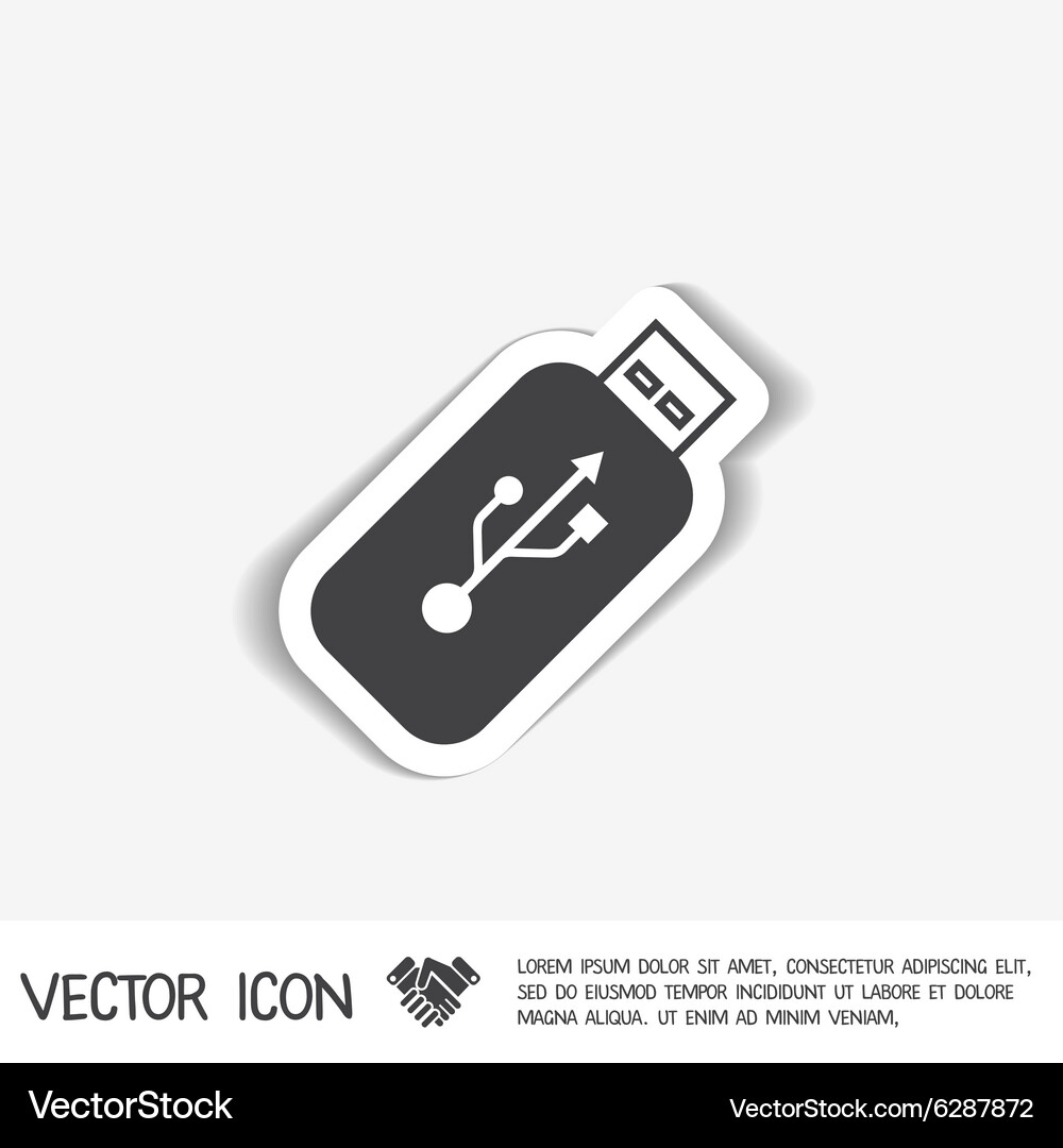 Usb flash icon disk Vector Image