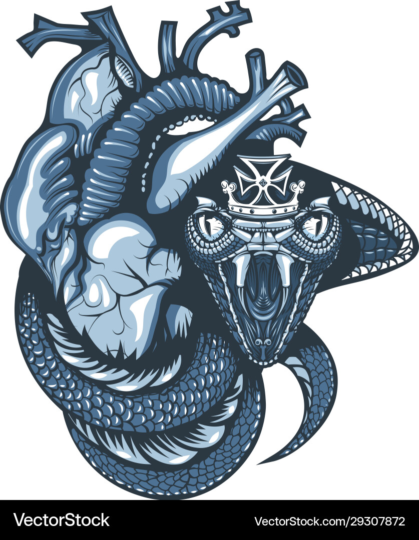 Vintage Tattoo Design mit Cobra und Krone Vintage Tattoo Design mit Cobra und Krone vektorbild