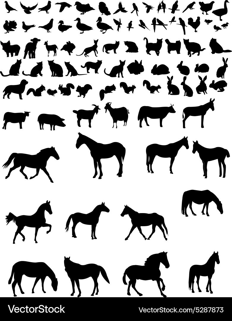 Animal Silhouettes Collection vector image