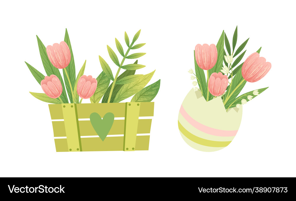 Spring blooming pink tulip flower bouquet vector image