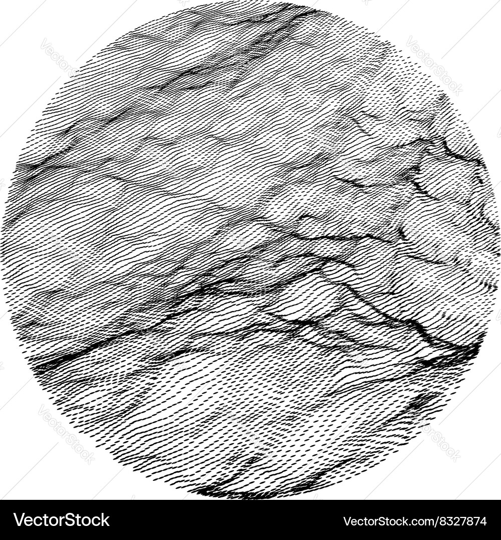Dynamic Wave Grid Pattern Vector Image