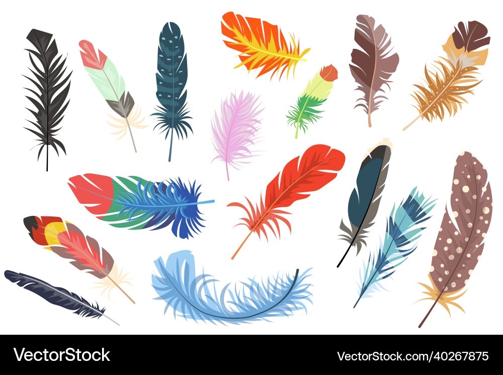Feathers isolated elements set bundle Feathers isolated elements set bundle Vector Image