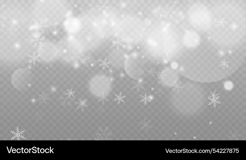 Winter falling snow Winter falling snow vector image