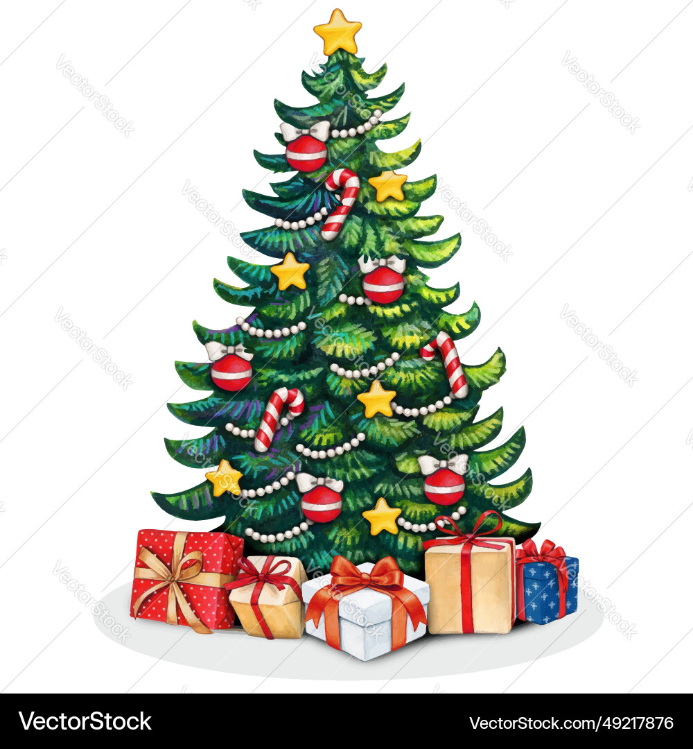 Watercolor hand drawn christmas tree vector image