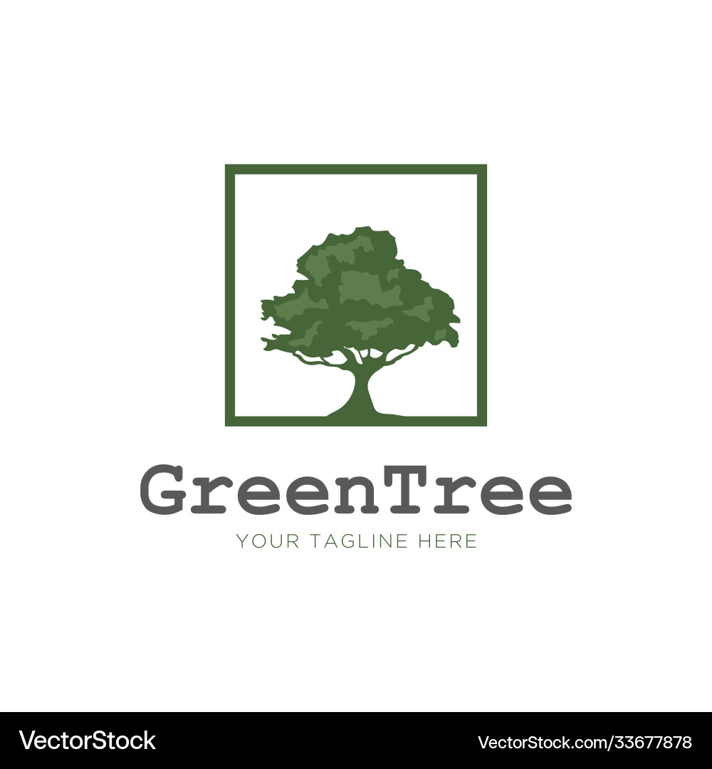Tree in frame logo templatetree icon vector image