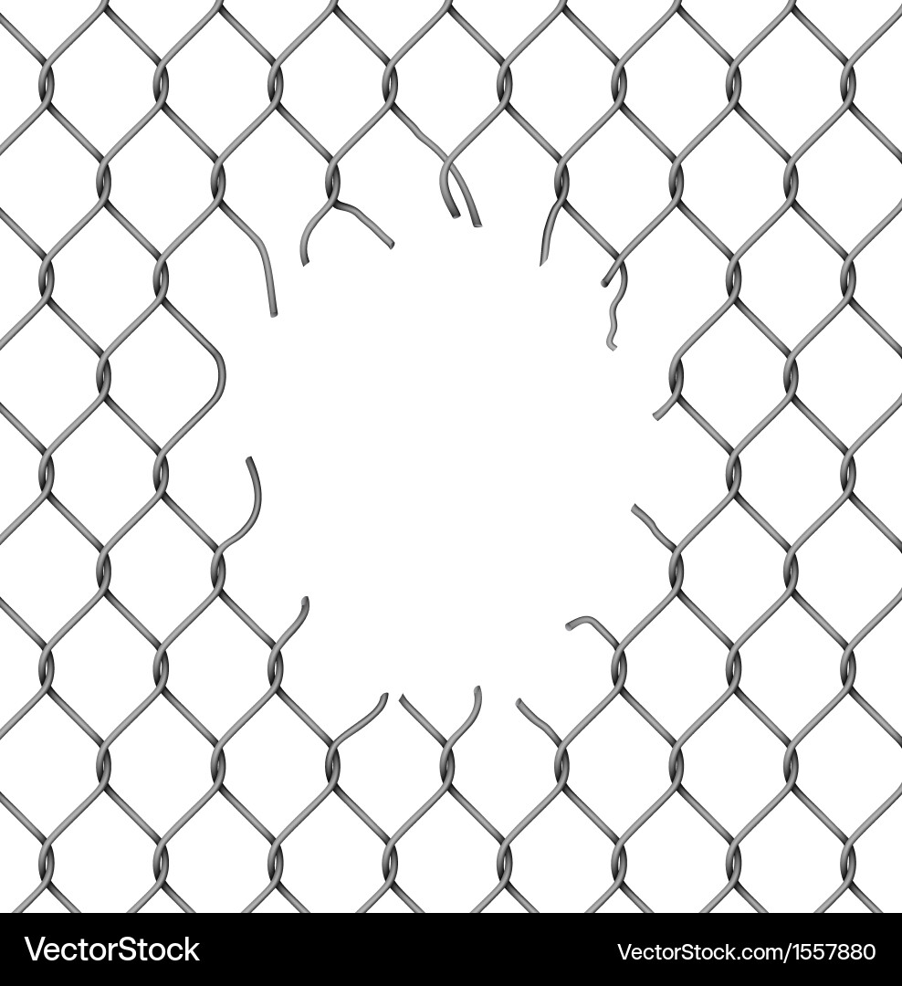 Ripped Chain-Link Fence – Royalty-Free Vector | VectorStock