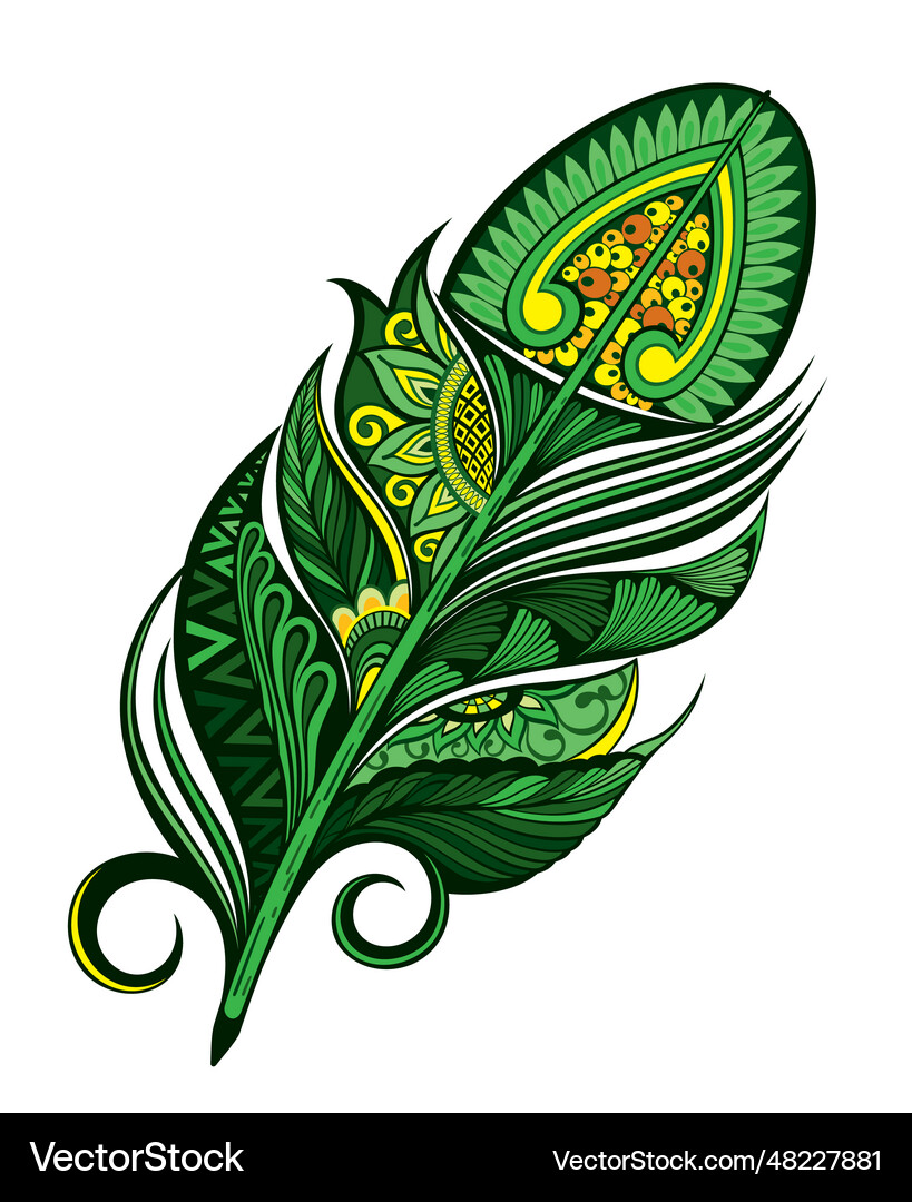Feather (48227881) – Royalty-Free Vector | VectorStock